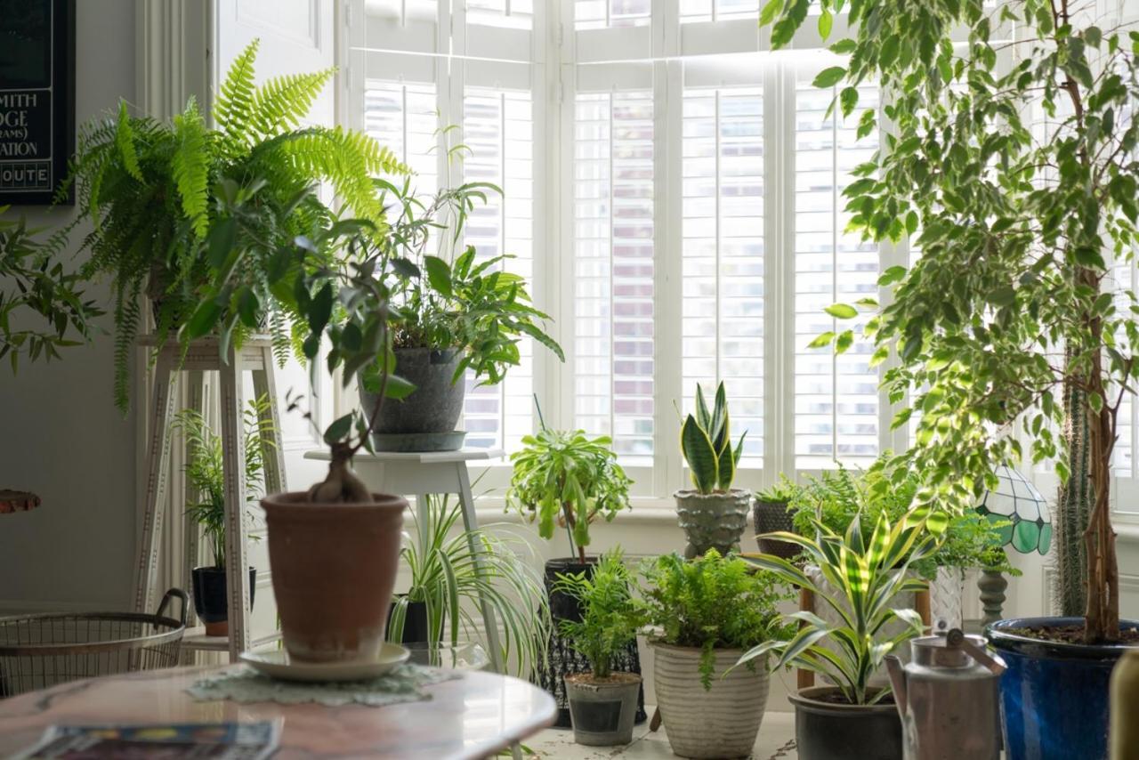 The Green House 포츠머스 외부 사진