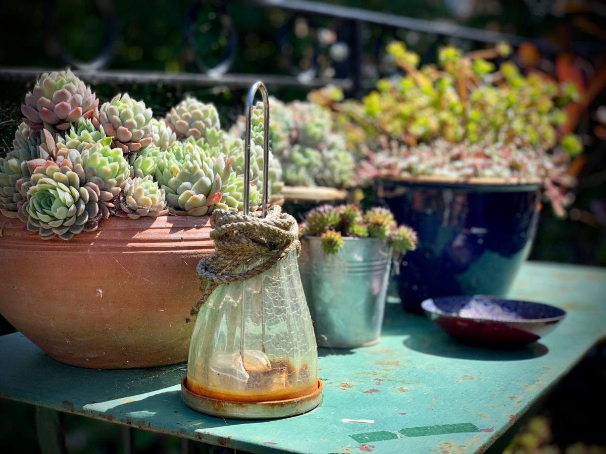 The Green House 포츠머스 외부 사진
